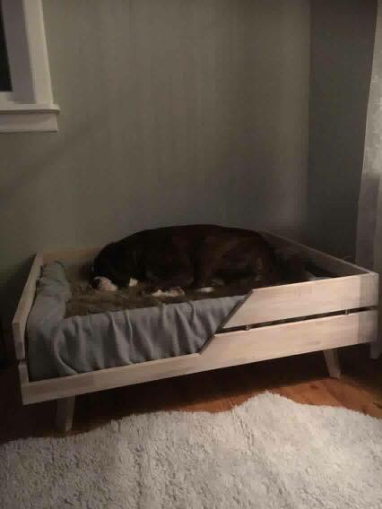 Hundeseng